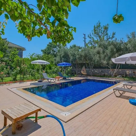 Tuzlu Sistem Havuzlu Luks Villa Fethiye