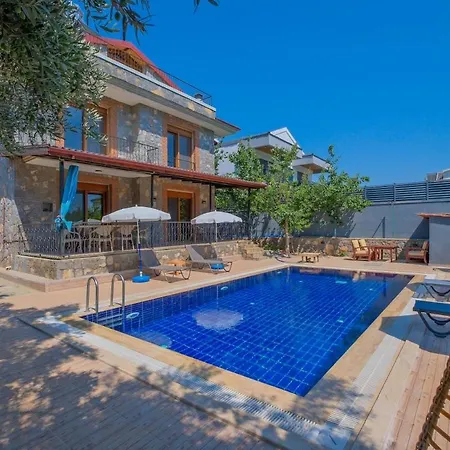 Villa Tuzlu Sistem Havuzlu Luks