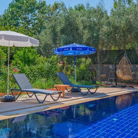 Villa Tuzlu Sistem Havuzlu Luks Fethiye