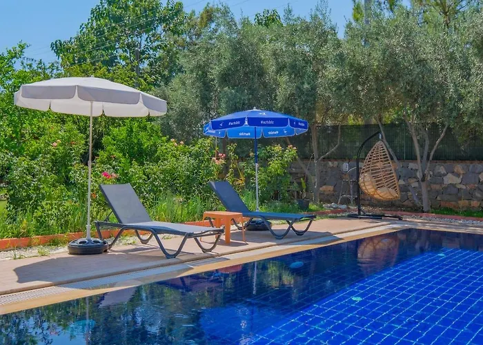 Vilă Tuzlu Sistem Havuzlu Luks Fethiye